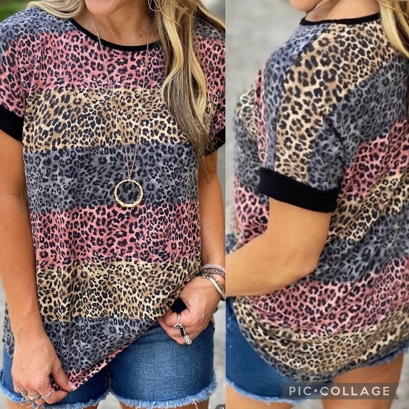 LEOPARD Striped Colorblock T-shirt - Picture 1 of 1